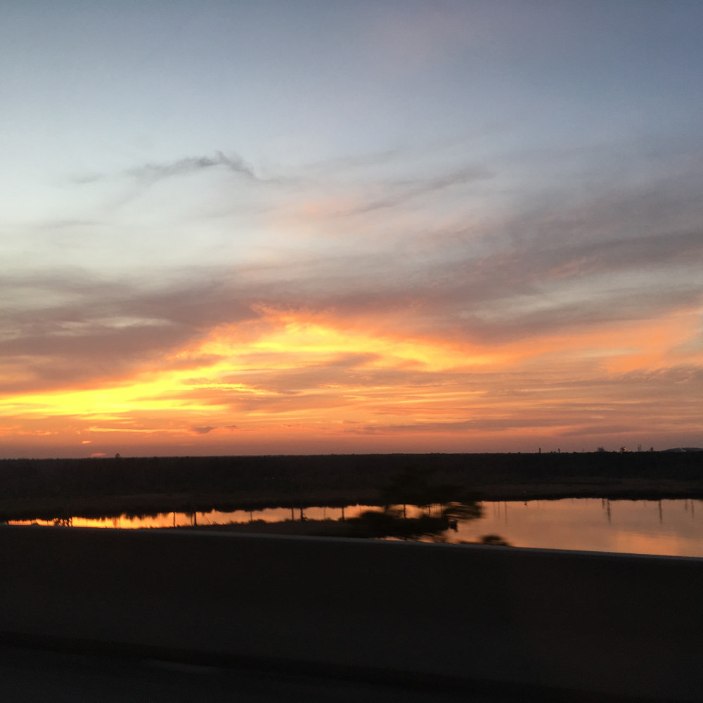 Meet your Posher, Arletta